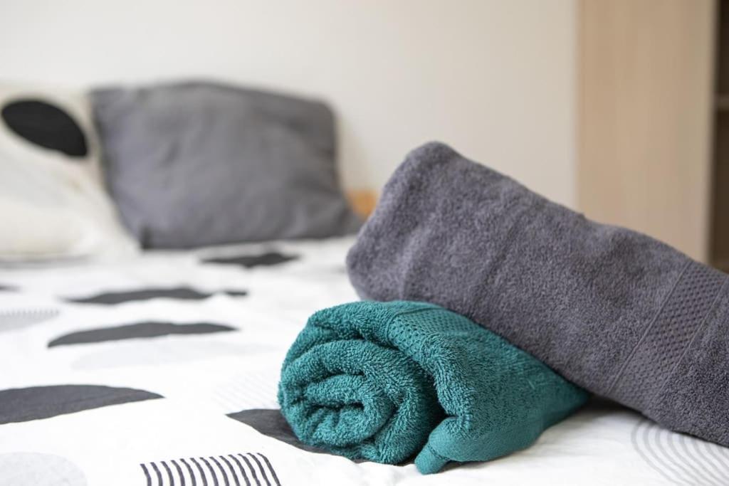 Suite Lumineux Et Moderne, Parking Gratuit, Mulhouse Centre Екстериор снимка